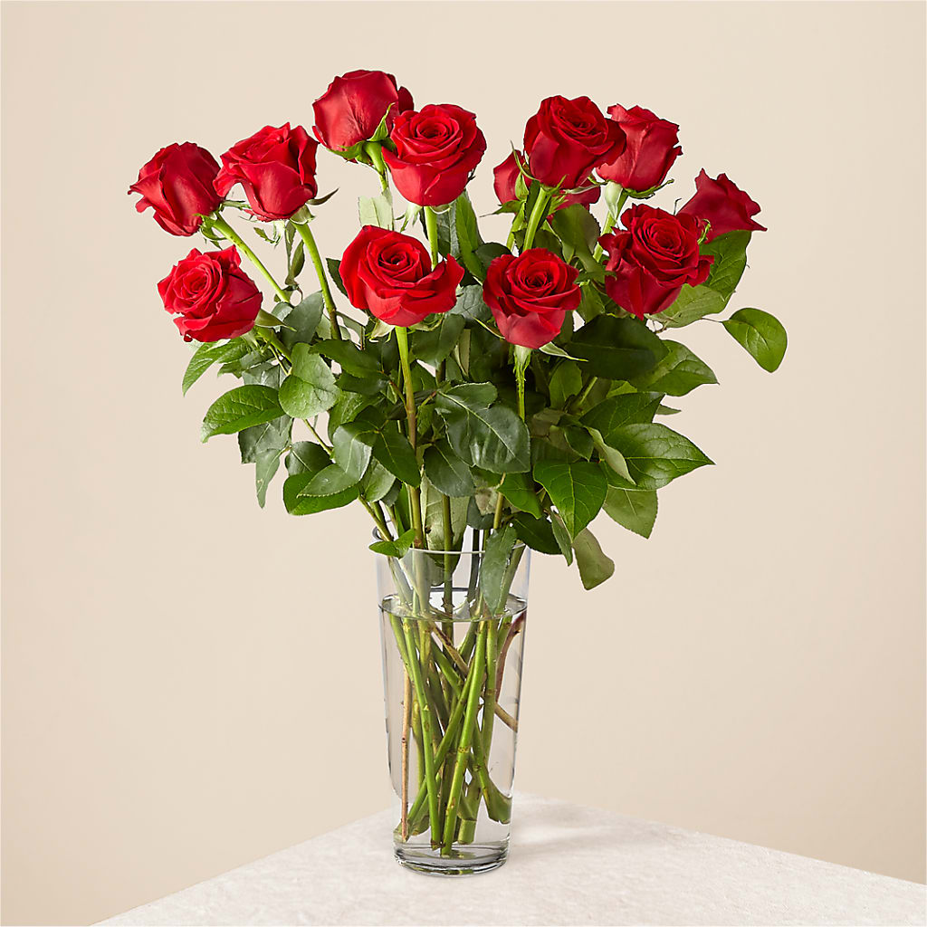 Long Stem Red Rose Bouquet – Rhodes Family Price Chopper, Branson MO