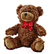 Adorable Plush Bear – Rhodes Family Price Chopper, Branson MO