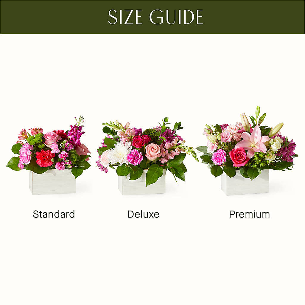 Sweetberry Box – A Florist Original – Rhodes Family Price Chopper, Branson MO