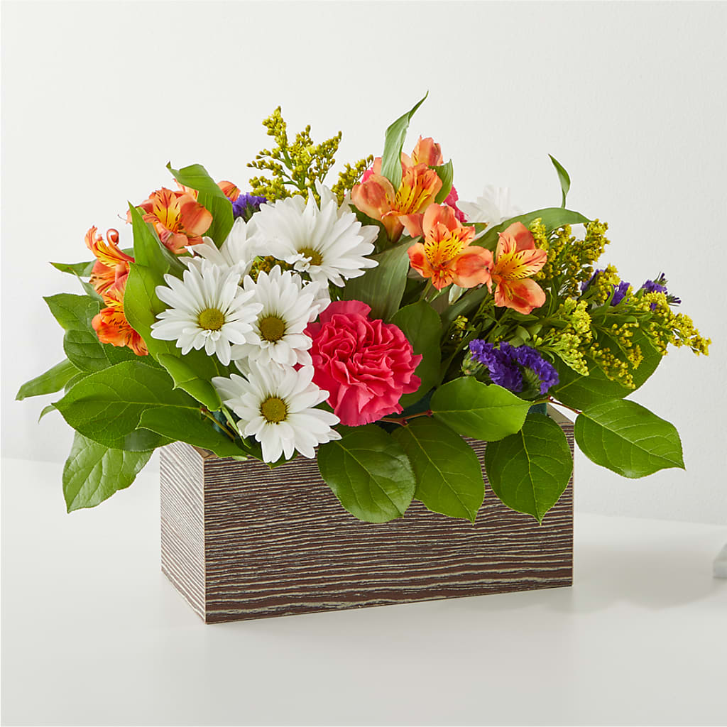 Oopsie Daisy Box Bouquet – Rhodes Family Price Chopper, Branson MO