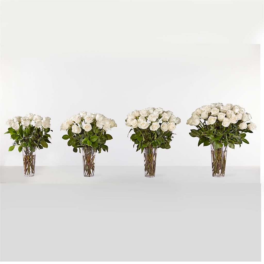 Long Stem White Rose Bouquet – Rhodes Family Price Chopper, Branson MO