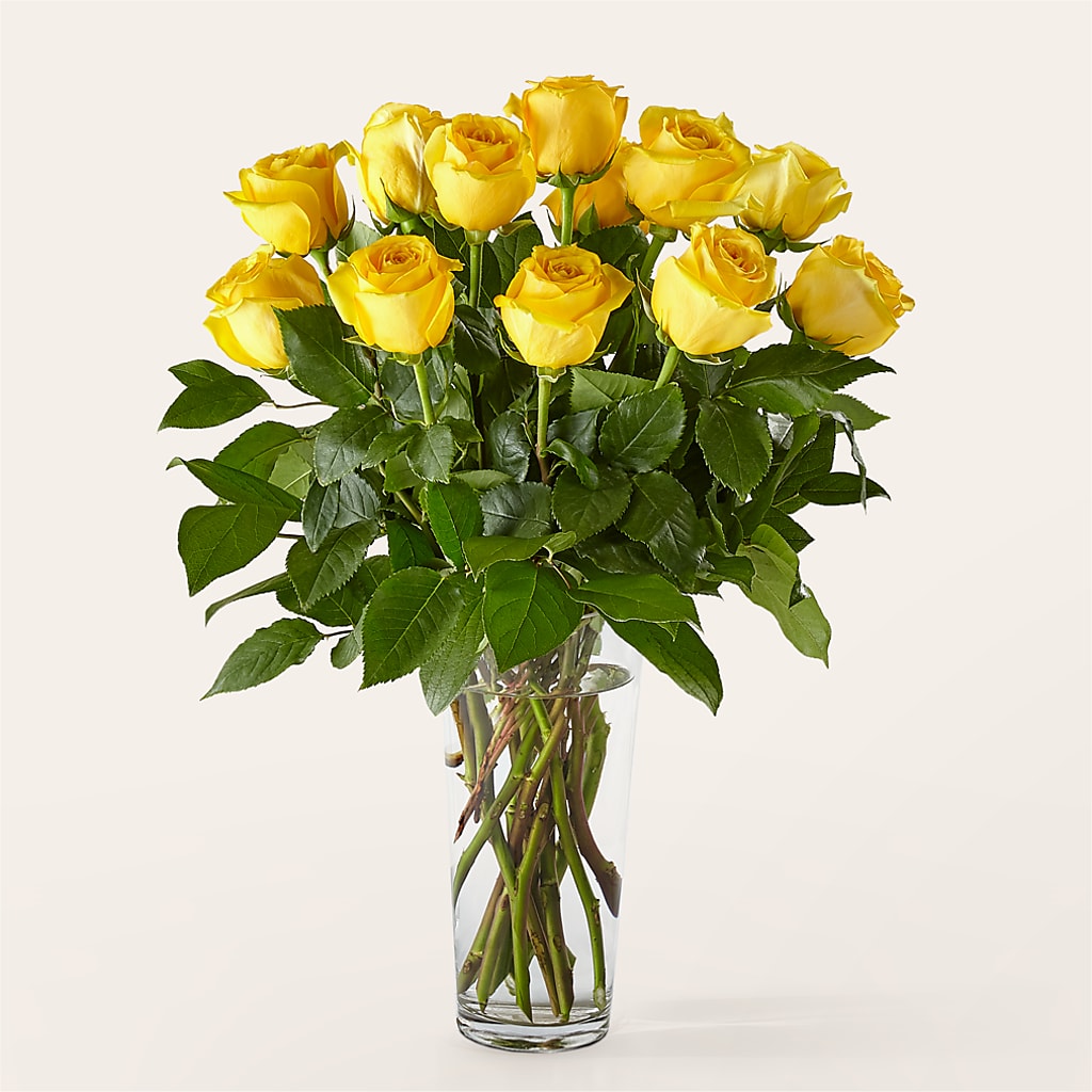 Long Stem Yellow Rose Bouquet – Rhodes Family Price Chopper, Branson MO