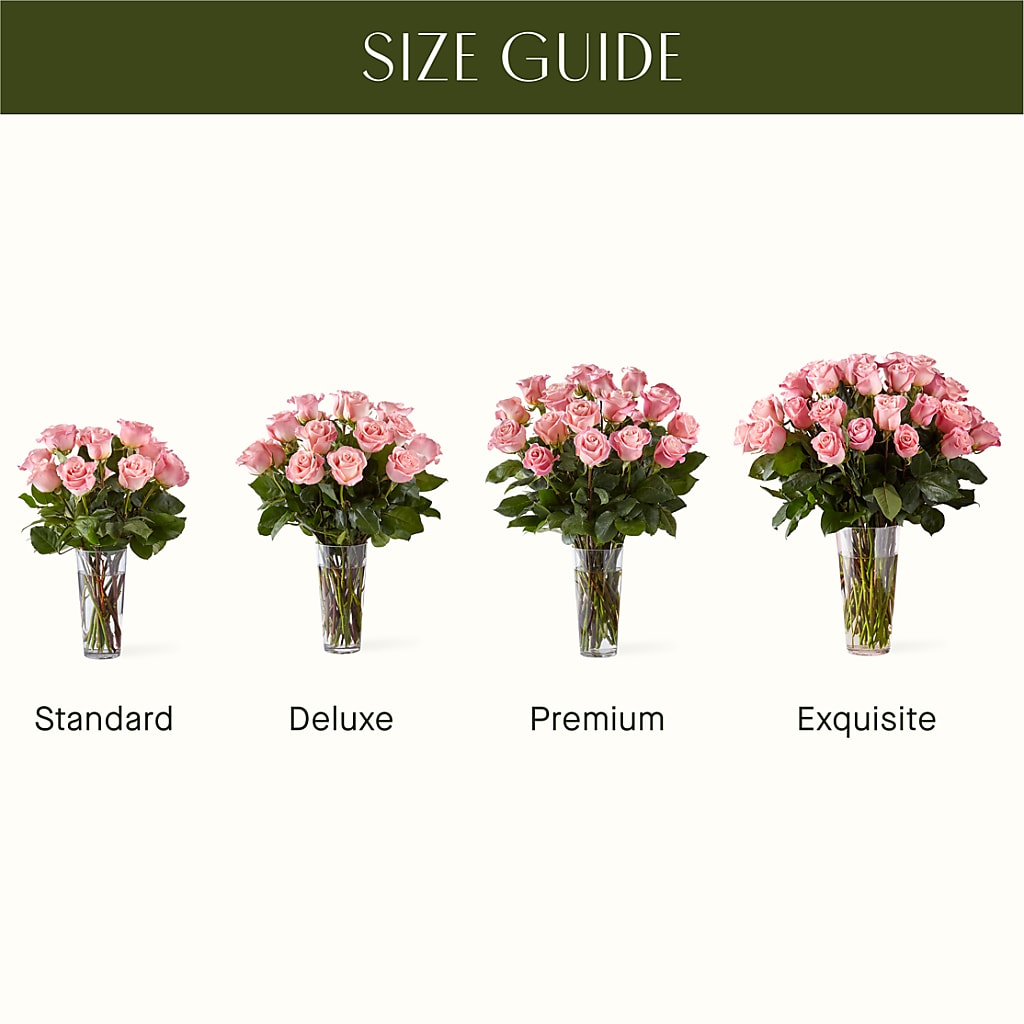 Long Stem Pink Rose Bouquet – Rhodes Family Price Chopper, Branson MO