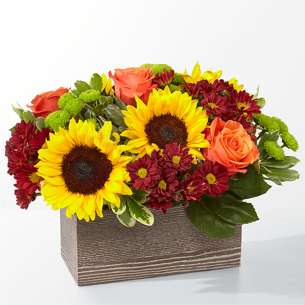Happy Harvest Garden – Rhodes Family Price Chopper, Branson MO