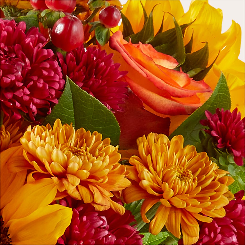 Sweater Season - A Florist Original – Rhodes Family Price Chopper, Branson MO