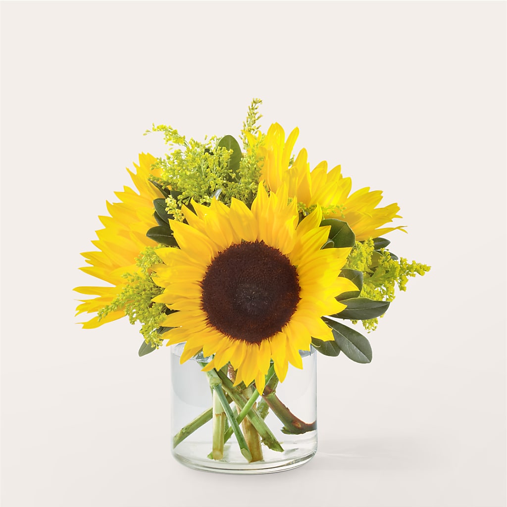 Beaming Sunflower Bouquet – Rhodes Family Price Chopper, Branson MO