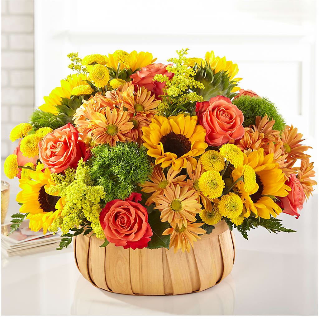 Harvest Sunflower Basket – Rhodes Family Price Chopper, Branson MO