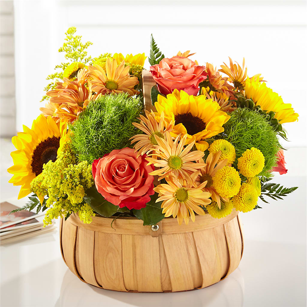 Harvest Sunflower Basket – Rhodes Family Price Chopper, Branson MO