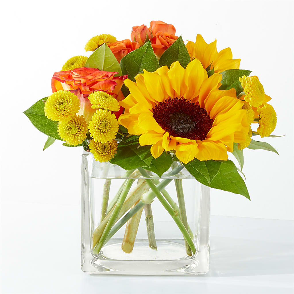 Picnic in the Park Bouquet – Rhodes Family Price Chopper, Branson MO
