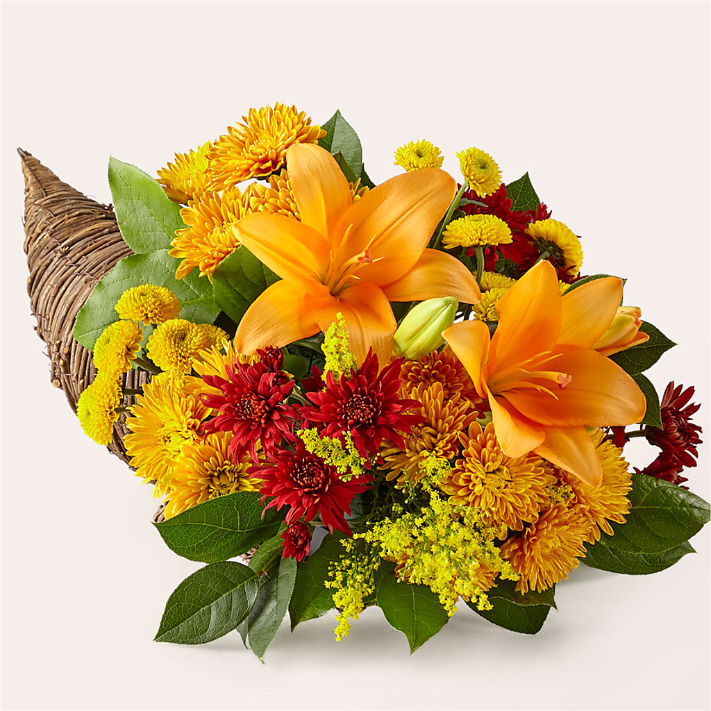 Feast of Color Cornucopia – Rhodes Family Price Chopper, Branson MO