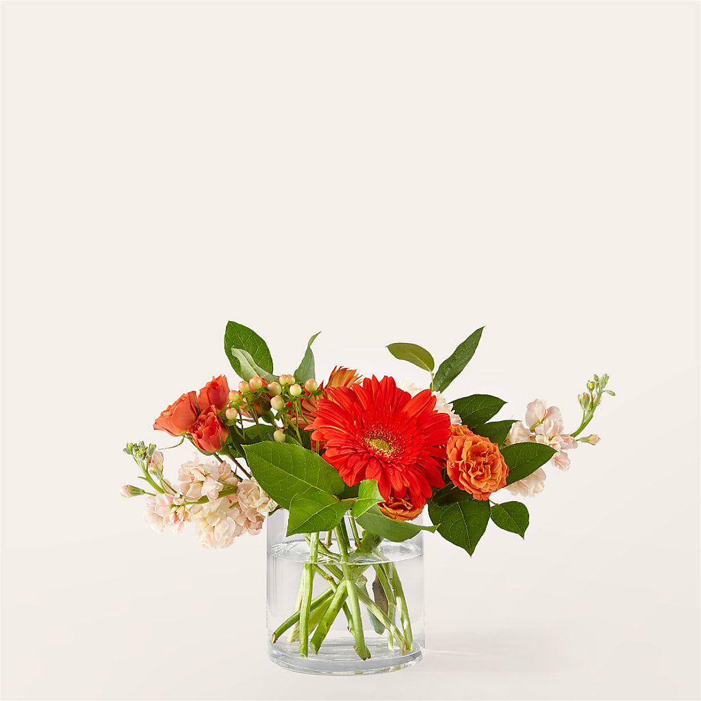 Paloma Please Bouquet – Rhodes Family Price Chopper, Branson MO