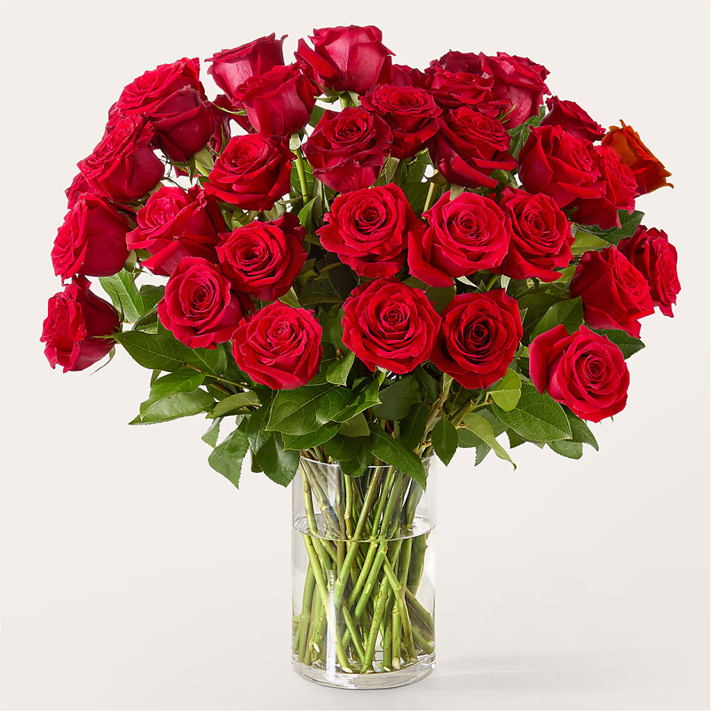 The One Red Rose Bouquet – Rhodes Family Price Chopper, Branson MO