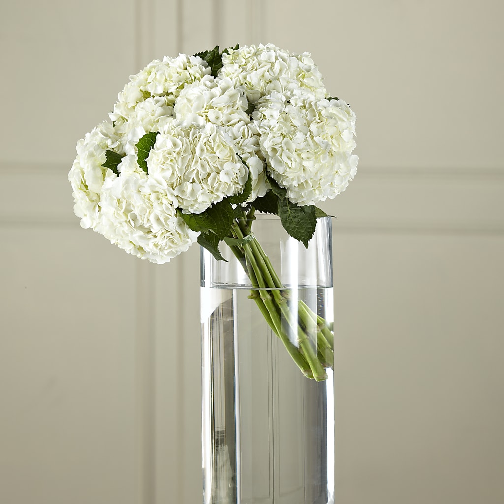 White Hydrangea Hand-Tied Bouquet – Rhodes Family Price Chopper, Branson MO