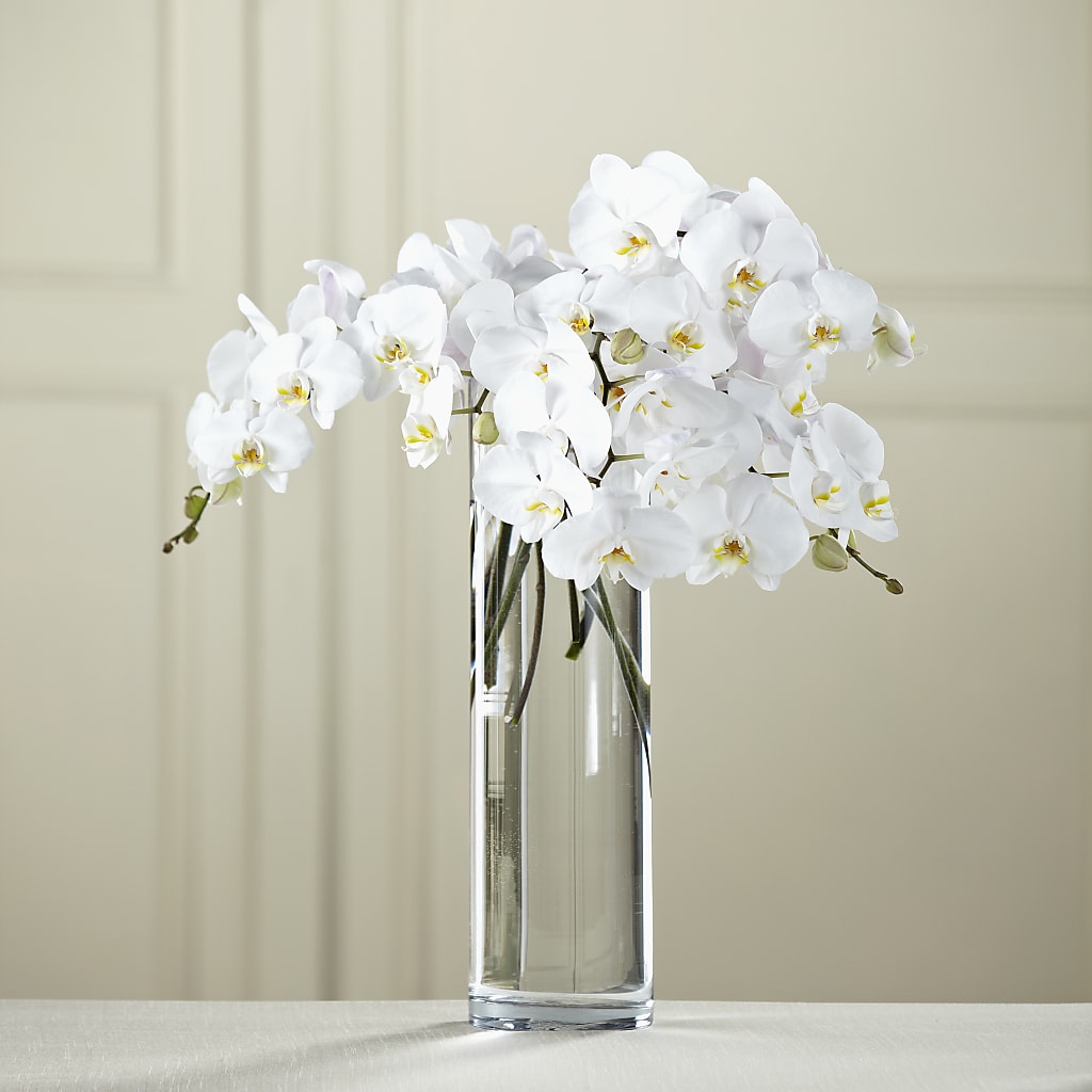 White Phalaenopsis Bouquet – Rhodes Family Price Chopper, Branson MO