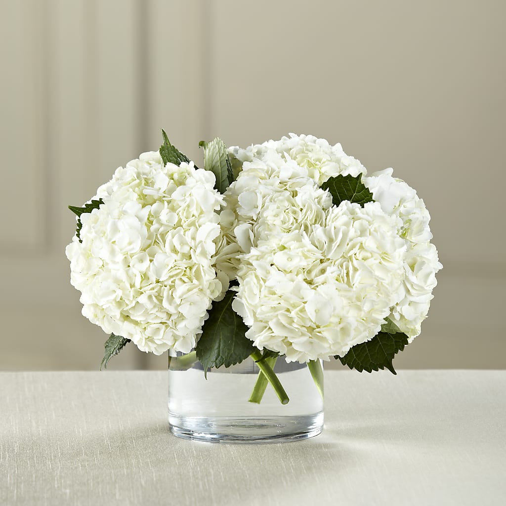 White Hydrangea Bouquet – Rhodes Family Price Chopper, Branson MO