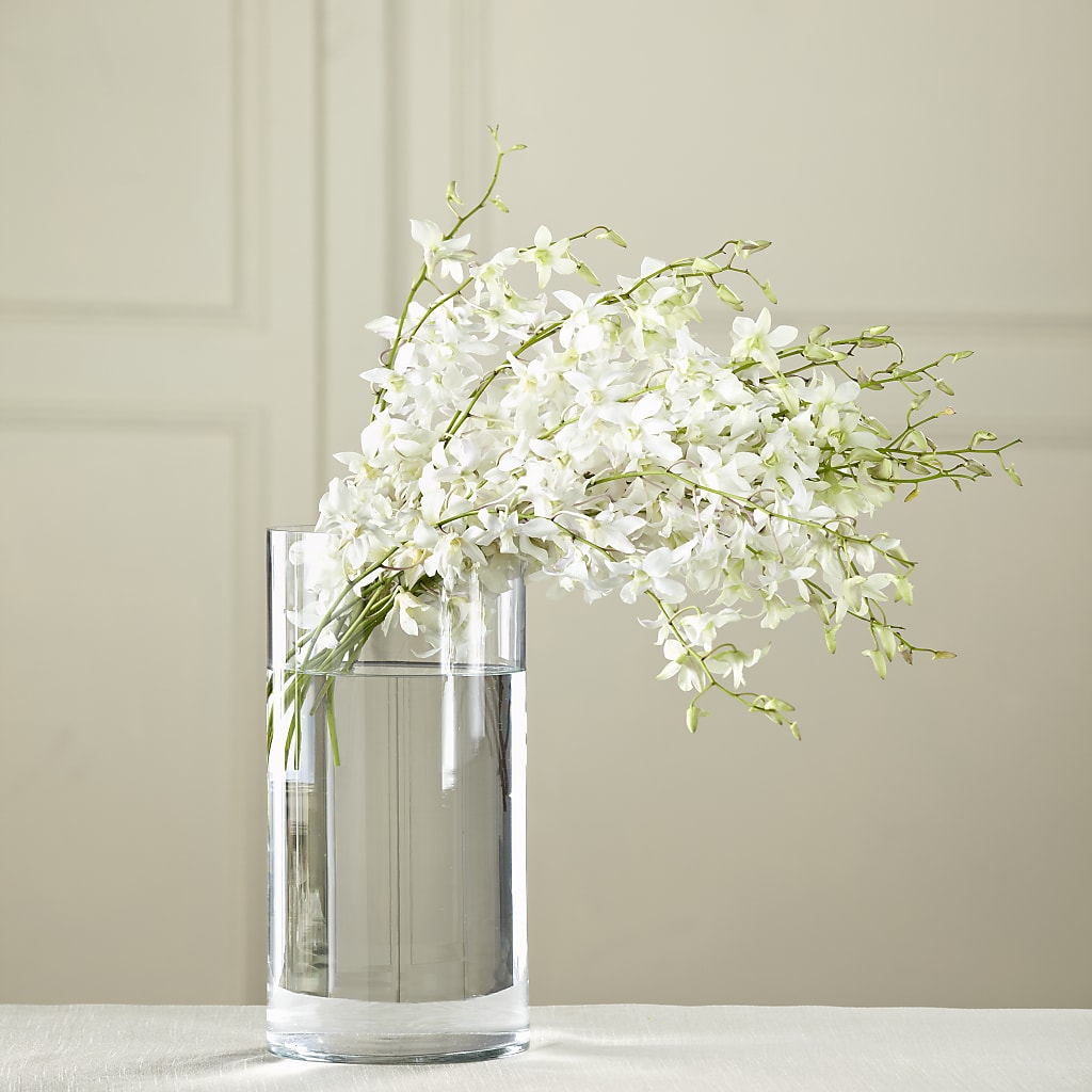 White Dendrobium Bouquet – Rhodes Family Price Chopper, Branson MO