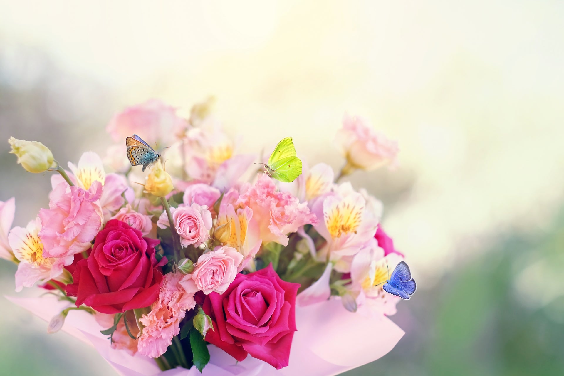 Spring flowers in Branson, MO | Rhodes Family Price Chopper – Local ...
