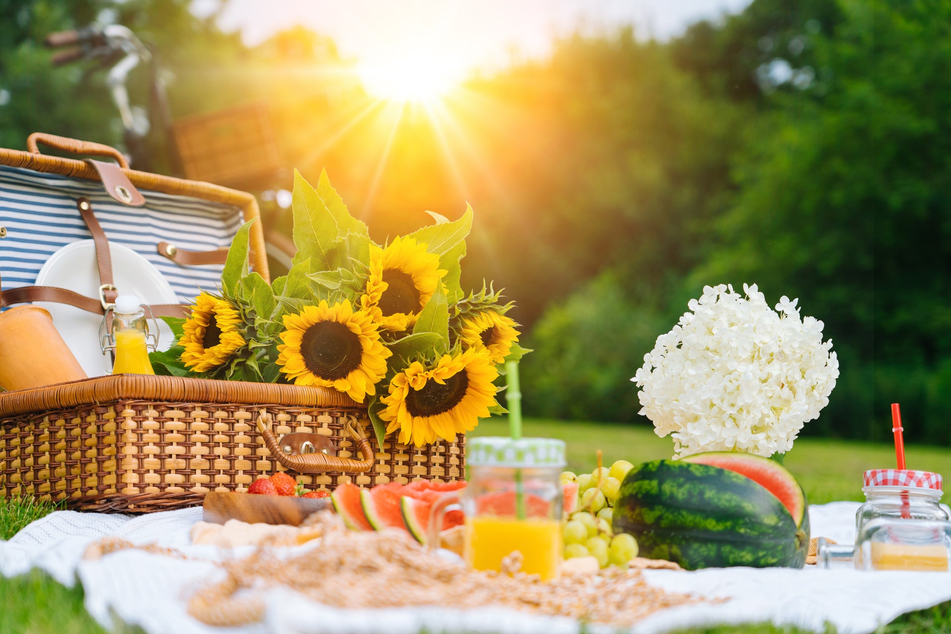 Summer flowers in Branson, MO | Rhodes Family Price Chopper – Local ...
