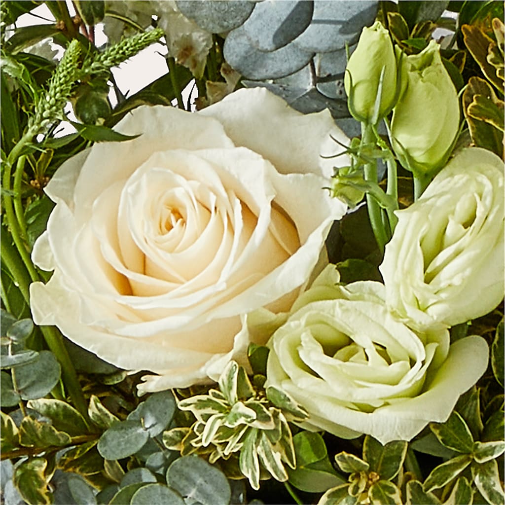 Cashmere Bouquet –  Rhodes Family Price Chopper, Branson MO