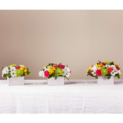Sorbet Bouquet –  Rhodes Family Price Chopper, Branson MO