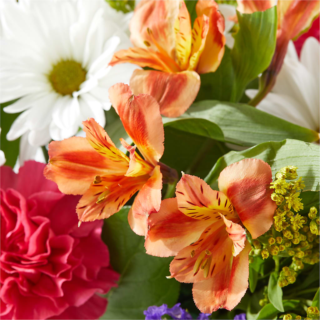 Oopsie Daisy Box Bouquet –  Rhodes Family Price Chopper, Branson MO