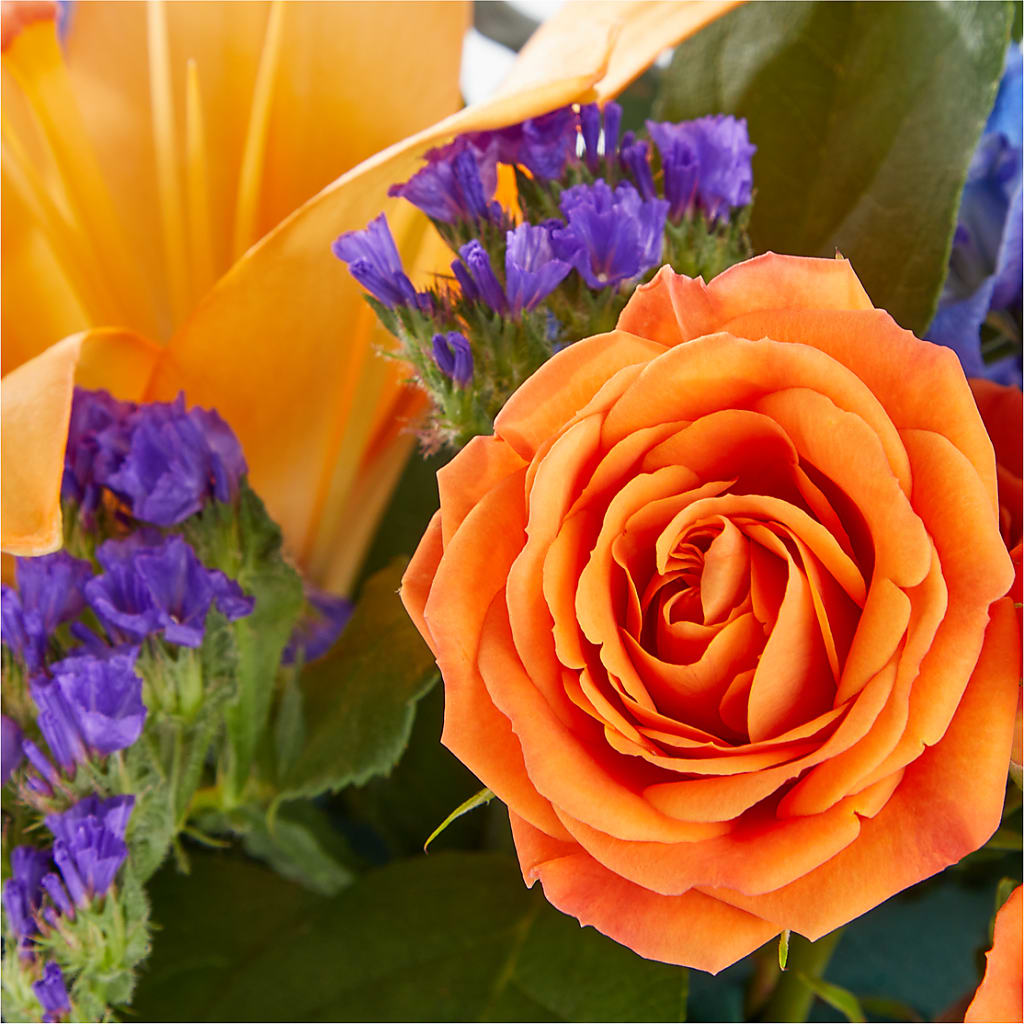 Radiant Citrus Box Bouquet –  Rhodes Family Price Chopper, Branson MO