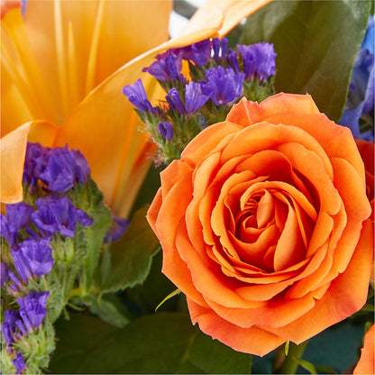 Radiant Citrus Box Bouquet –  Rhodes Family Price Chopper, Branson MO