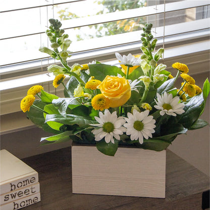 Sun Salutation Box Bouquet –  Rhodes Family Price Chopper, Branson MO