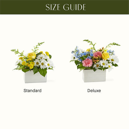 Sun Salutation Box Bouquet –  Rhodes Family Price Chopper, Branson MO