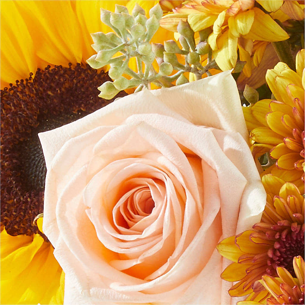 Pumpkin to Talk About Bouquet –  Rhodes Family Price Chopper, Branson MO