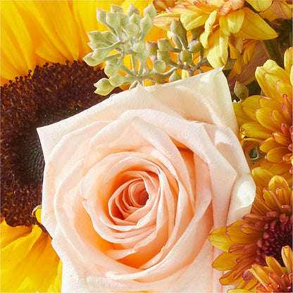 Pumpkin to Talk About Bouquet –  Rhodes Family Price Chopper, Branson MO