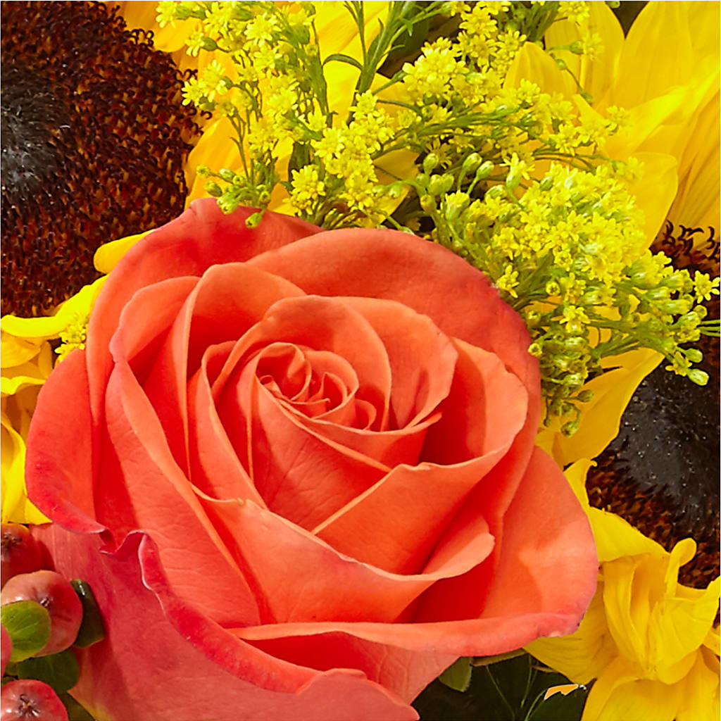 Pick of the Patch Pumpkin Bouquet –  Rhodes Family Price Chopper, Branson MO