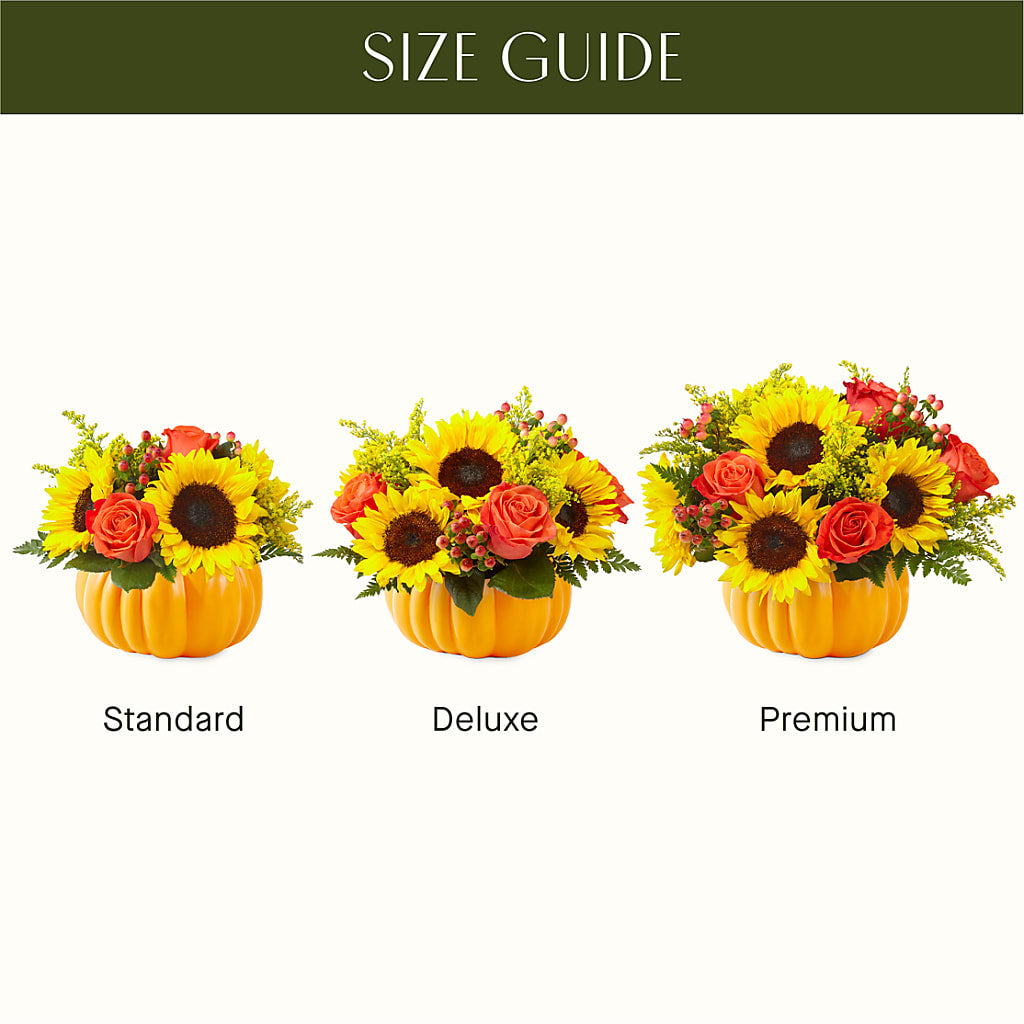 Pick of the Patch Pumpkin Bouquet –  Rhodes Family Price Chopper, Branson MO