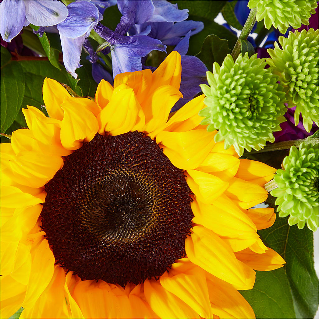 Catching Rays Bouquet –  Rhodes Family Price Chopper, Branson MO