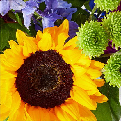 Catching Rays Bouquet –  Rhodes Family Price Chopper, Branson MO