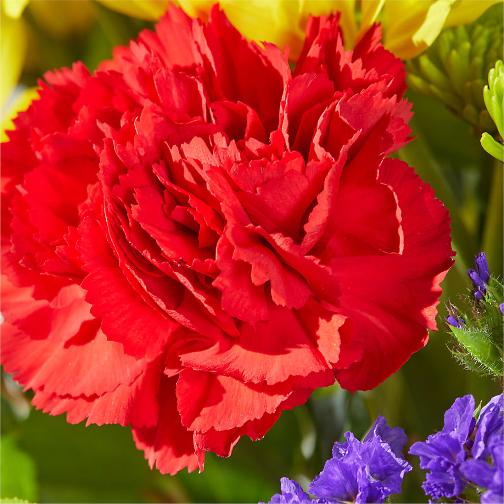 Brighter Days Bouquet –  Rhodes Family Price Chopper, Branson MO