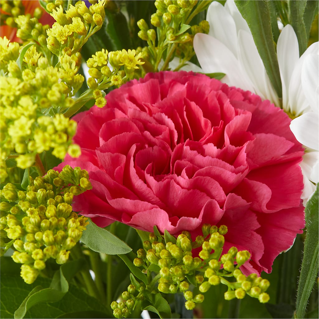 Oopsie Daisy Bouquet –  Rhodes Family Price Chopper, Branson MO
