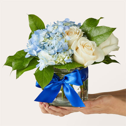 Sky Blue Delight Bouquet –  Rhodes Family Price Chopper, Branson MO