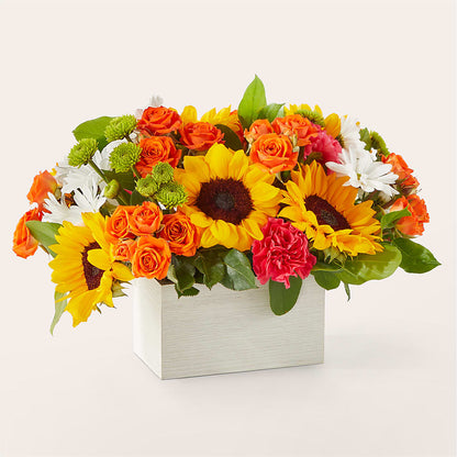Sun-drenched Blooms Box Bouquet –  Rhodes Family Price Chopper, Branson MO