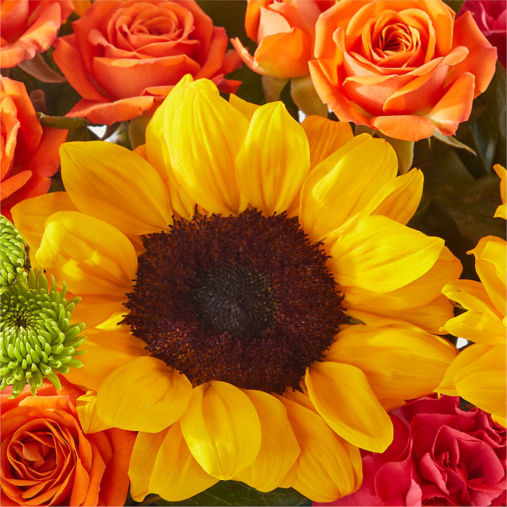 Sun-drenched Blooms Box Bouquet –  Rhodes Family Price Chopper, Branson MO