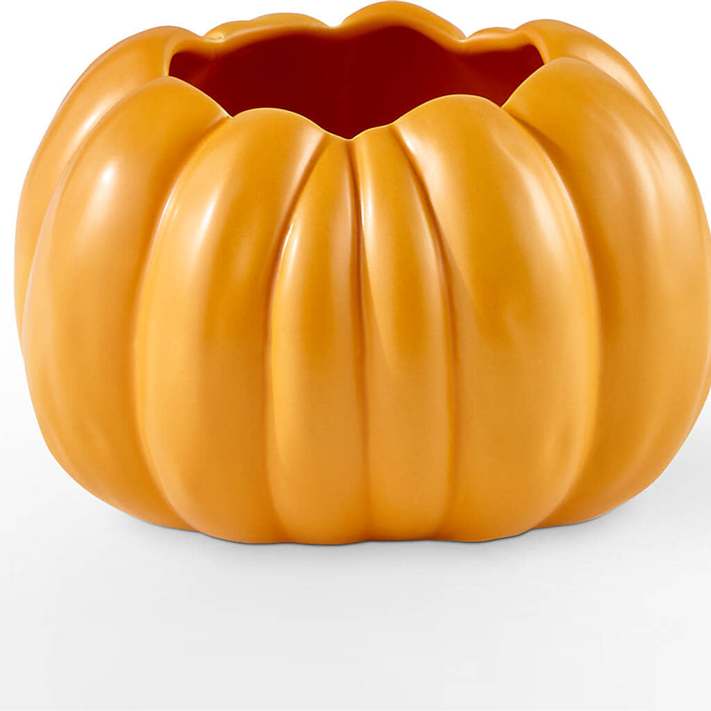 Pick of the Patch Pumpkin Bouquet –  Rhodes Family Price Chopper, Branson MO