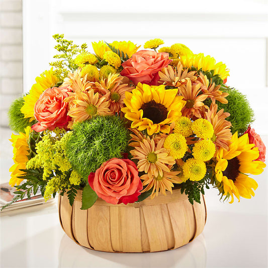 Harvest Sunflower Basket –  Rhodes Family Price Chopper, Branson MO