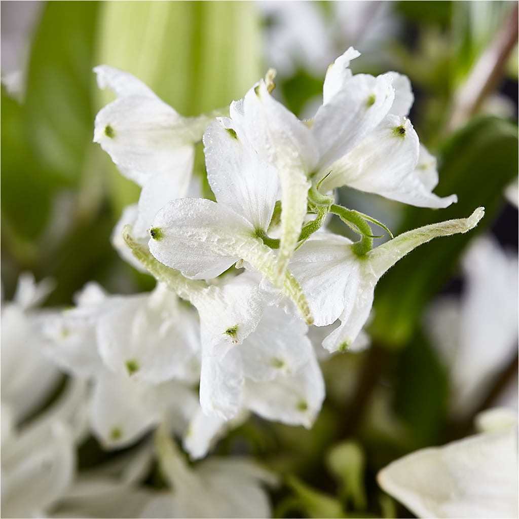 Classic Ivory – A Florist Original –  Rhodes Family Price Chopper, Branson MO