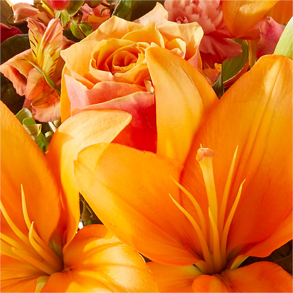 Afternoon Light Bouquet –  Rhodes Family Price Chopper, Branson MO