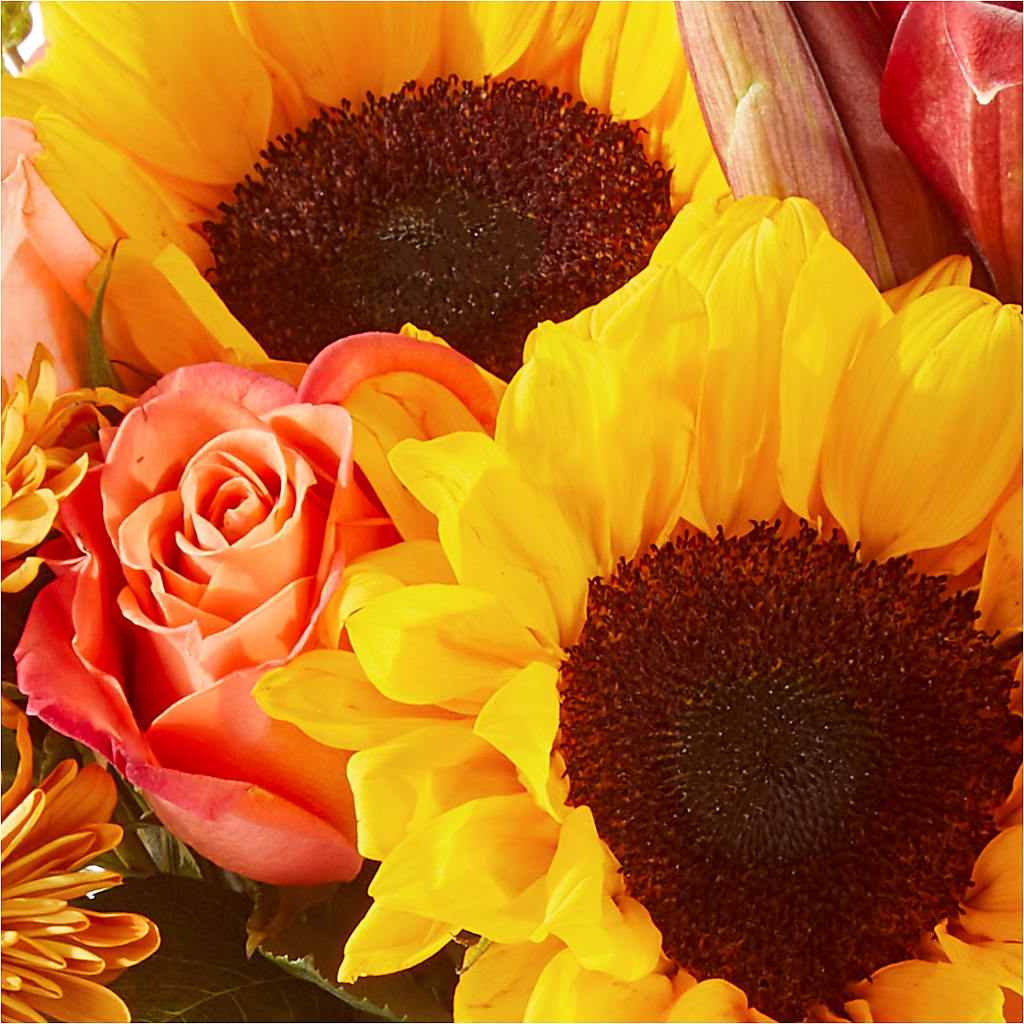 Acorn Lane Bouquet –  Rhodes Family Price Chopper, Branson MO