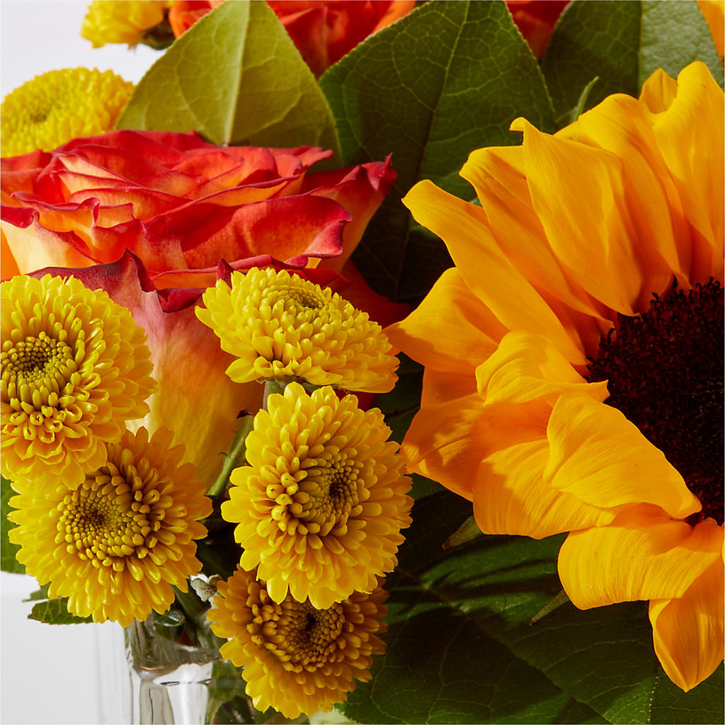 Picnic in the Park Bouquet –  Rhodes Family Price Chopper, Branson MO