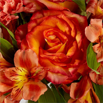 Apricot Glow Bouquet –  Rhodes Family Price Chopper, Branson MO