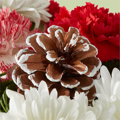 Candy Cane Lane Bouquet –  Rhodes Family Price Chopper, Branson MO