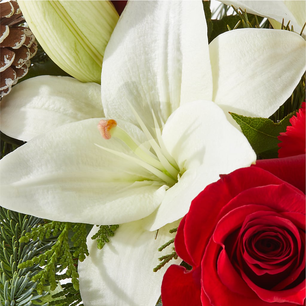 Oh So Jolly Bouquet –  Rhodes Family Price Chopper, Branson MO
