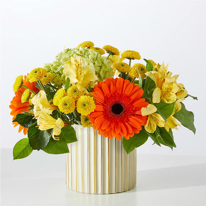 Autumn Sunshine Bouquet with Ivory Vase –  Rhodes Family Price Chopper, Branson MO
